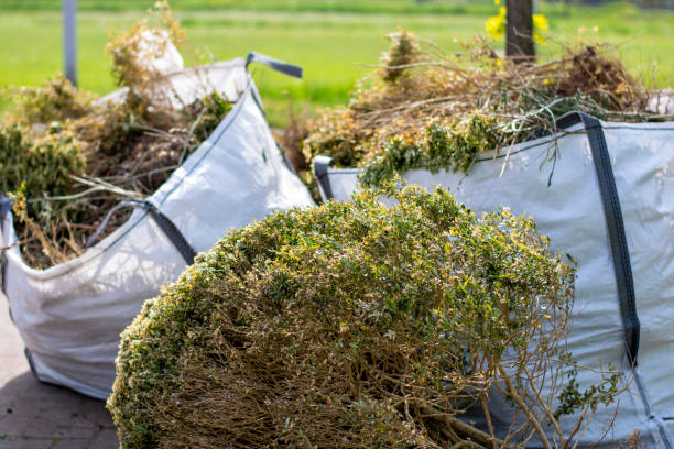 Best Demolition Debris Removal  in Le Sueur, MN